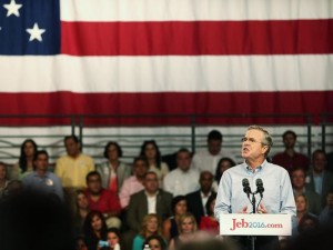 jeb-bush