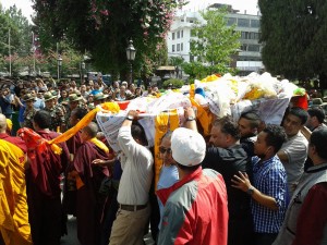 Ambar gurung (16)