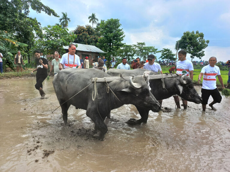 This image has an empty alt attribute; its file name is DipakChand_BhadrapurJhapa_RSS_15_20250629_094128-768x576.jpg